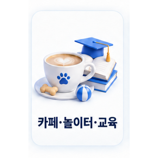 카페 놀이터 교육 카테고리